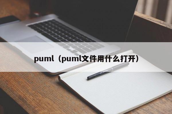 puml(puml文件用什么打开)