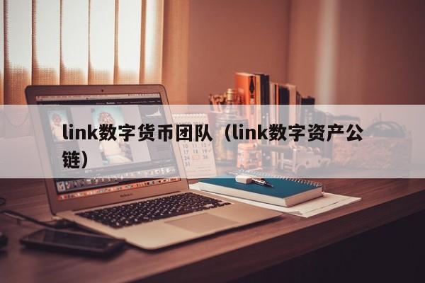 link数字货币团队(link数字资产公链)