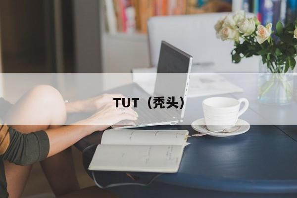 TUT(秃头)