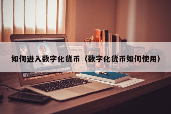 如何进入数字化货币(数字化货币如何使用)