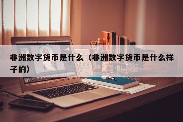 非洲数字货币是什么(非洲数字货币是什么样子的)