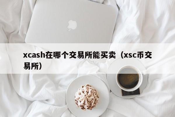 xcash在哪个交易所能买卖(xsc币交易所)
