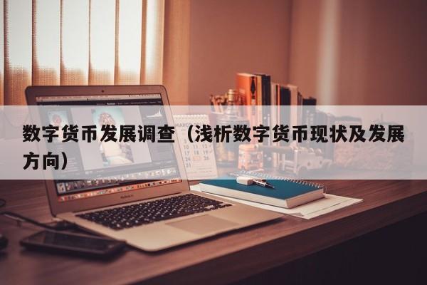 数字货币发展调查(浅析数字货币现状及发展方向)