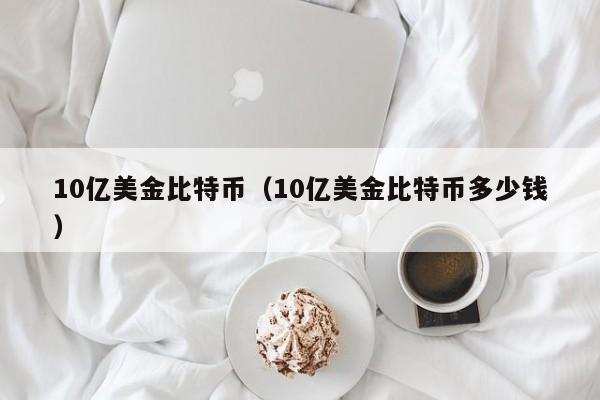 10亿美金比特币(10亿美金比特币多少钱)