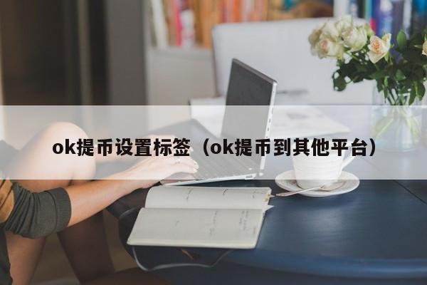 ok提币设置标签(ok提币到其他平台)