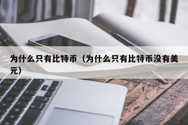 为什么只有比特币(为什么只有比特币没有美元)