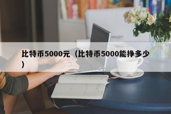 比特币5000元(比特币5000能挣多少)