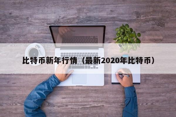 比特币新年行情(最新2020年比特币)