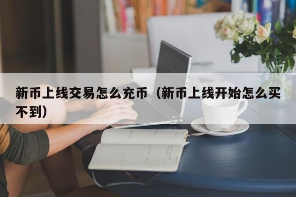 新币上线交易怎么充币(新币上线开始怎么买不到)