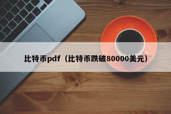 比特币pdf(比特币跌破80000美元)